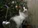 Марина Шацкая фотография #31