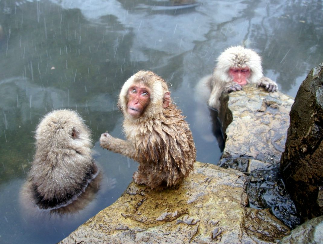 Рома Лещенко | Ирпень