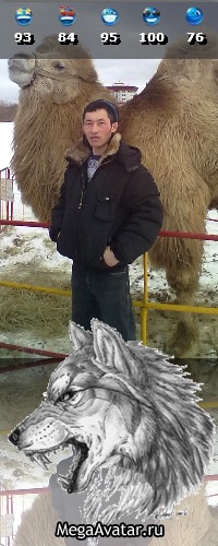 Фото профиля