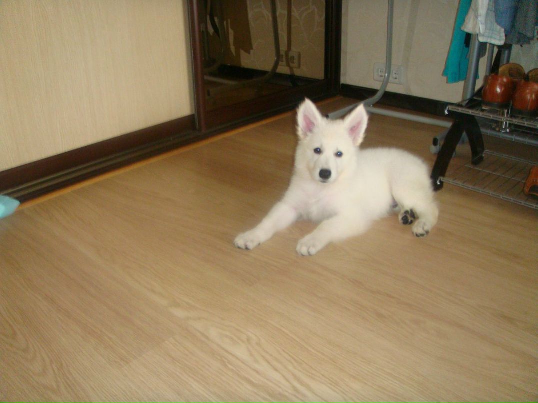 Влад Якубовский | Ивано-Франковск