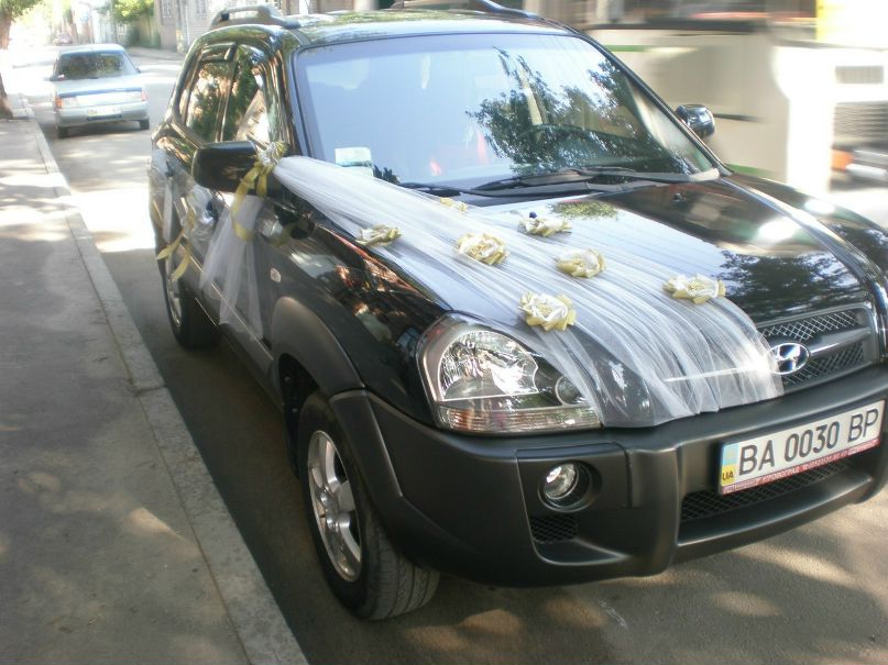 Лана Колоколова | Кропивницкий / Кировоград