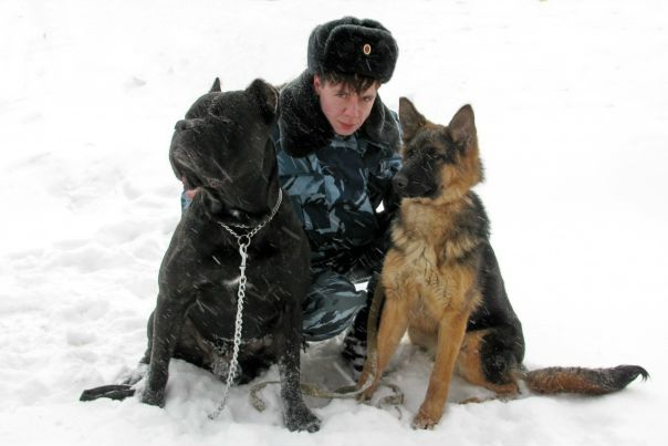 №62, Анна Бугаева, 44 года, Иваново, Россия №62, Анна Бугаева, 44 года, Иваново, Россия