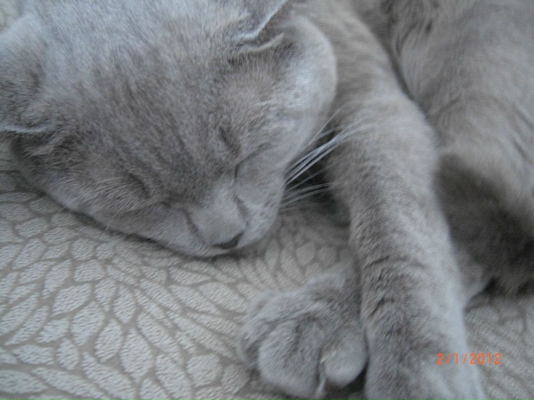 Любовь Коваль | Южно-Сахалинск