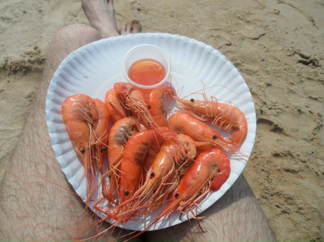 Дима Кучман FRE@K | Новосибирск