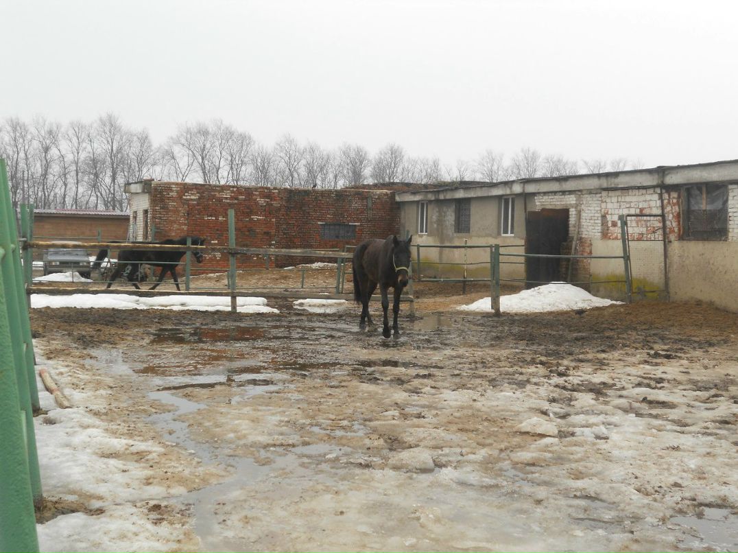 Таисия Медведева | Мытищи