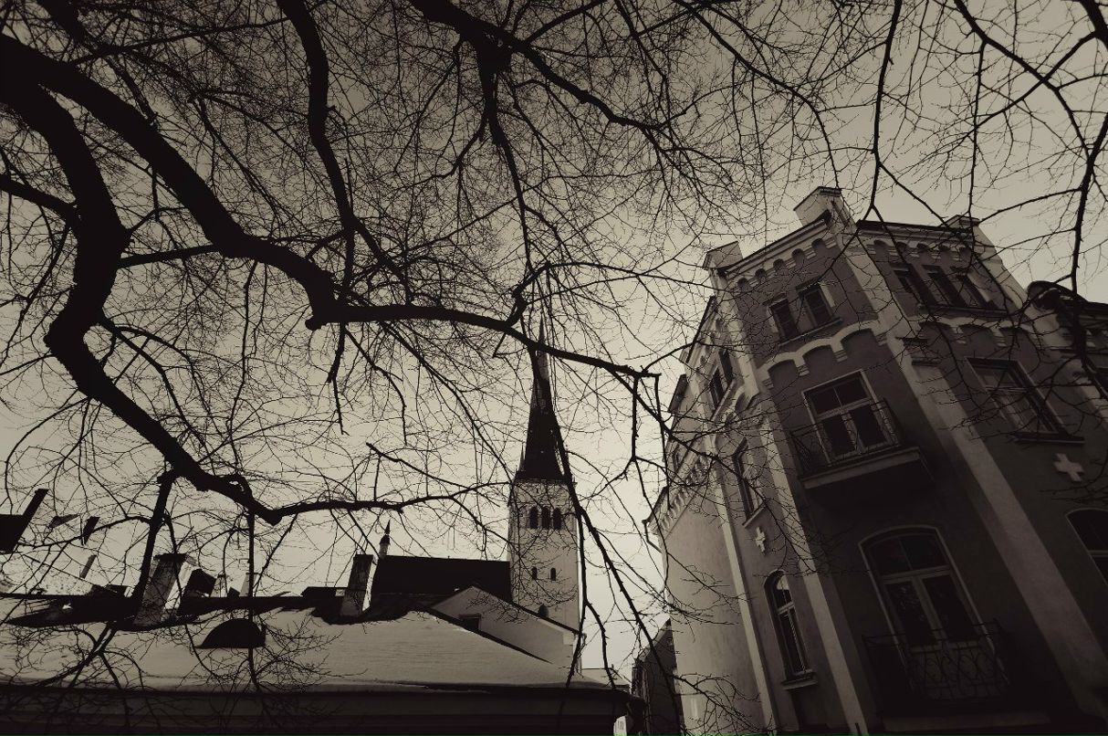 Владислав Пищулин | Санкт-Петербург