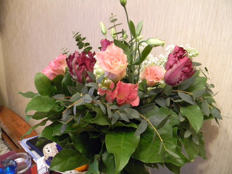 Елена Иванова | Санкт-Петербург