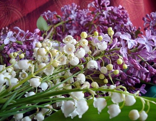 Надія Марценюк | 