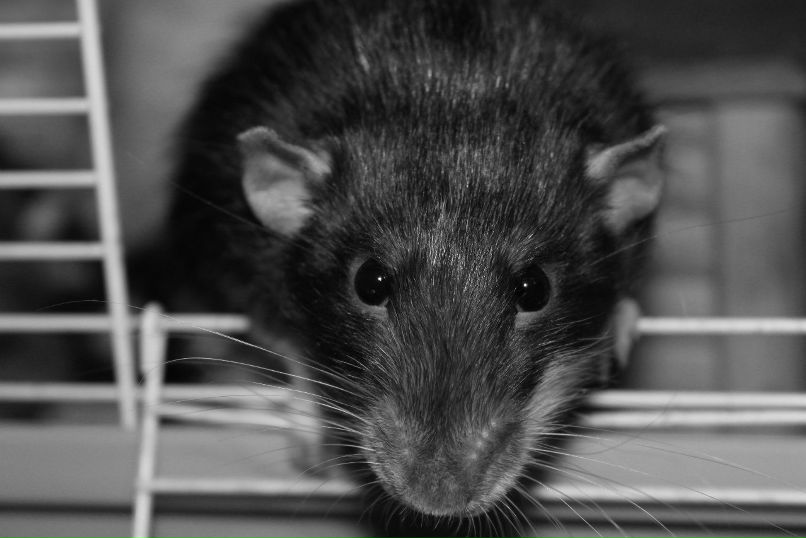 Андрей Яковлев | Самара