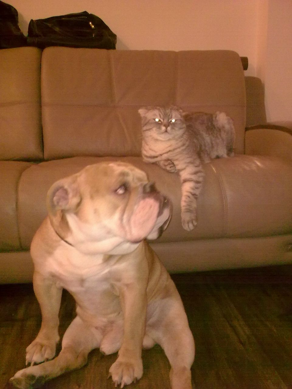 Алеша Кисляк Bebe1a | Днепр (Днепропетровск)