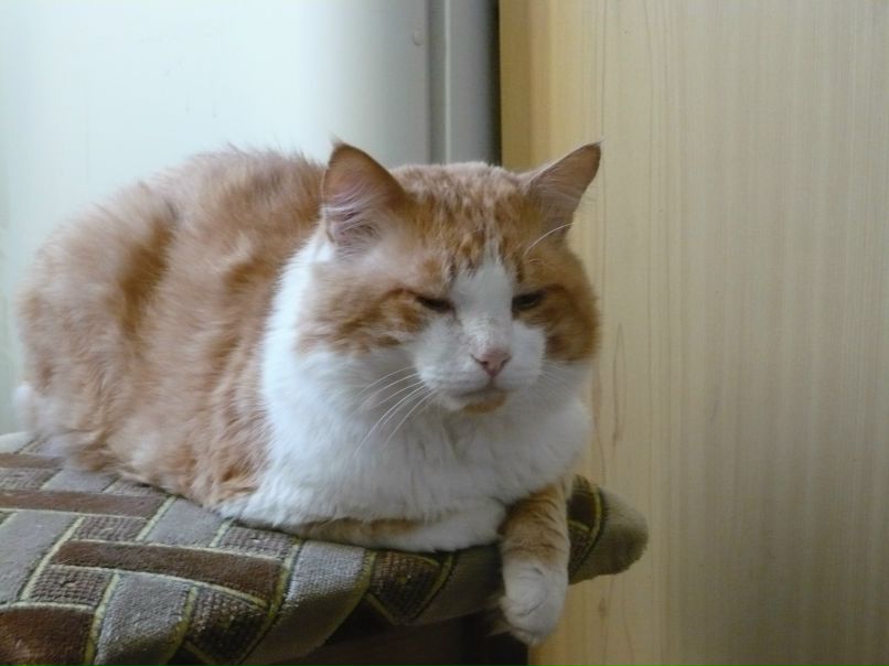 Евгения Горюнова | Москва