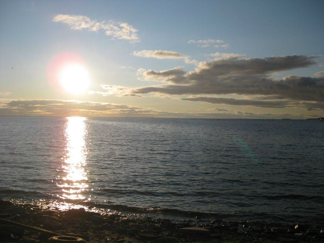 Алексей Евдокимов | Санкт-Петербург