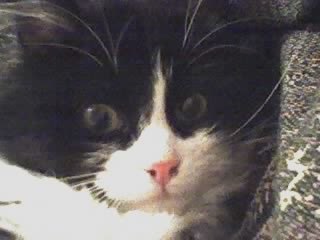 Сергей Виноградов | Санкт-Петербург