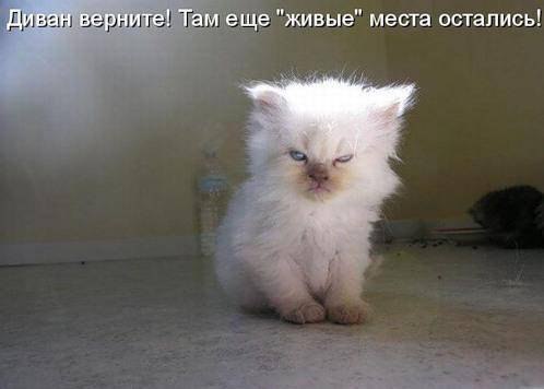 Андрей Яснов | Сумы