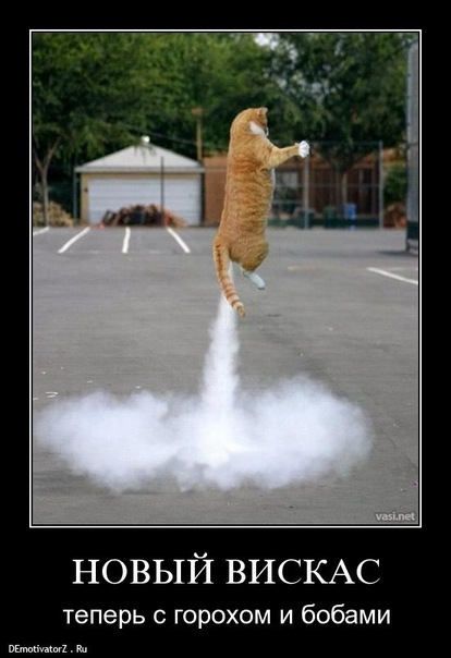 №34, Андрей Беляев, Светлогорск №34, Андрей Беляев, Светлогорск