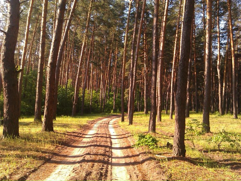 №32, Женя Щербак №32, Женя Щербак