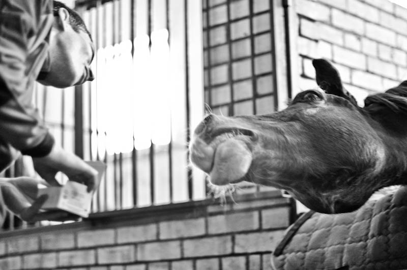 Игорь Булыго | Минск