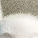 №20, Игорь Лозовский, Рыбница, Молдова №20, Игорь Лозовский, Рыбница, Молдова