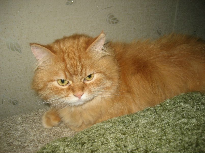 Анюта Андрусенко <<•.♥.•>> | Тверь