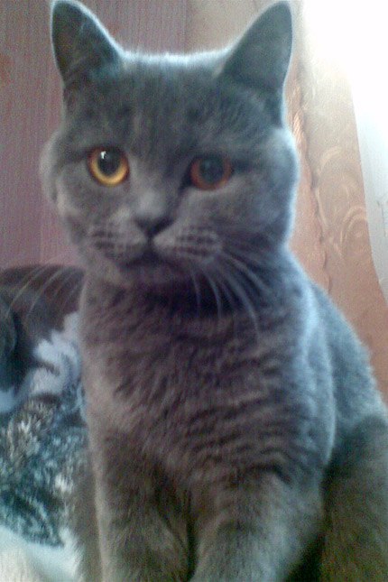 Андрій Бондар | Гайсин