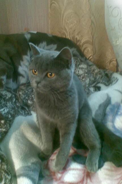 Андрій Бондар | Гайсин