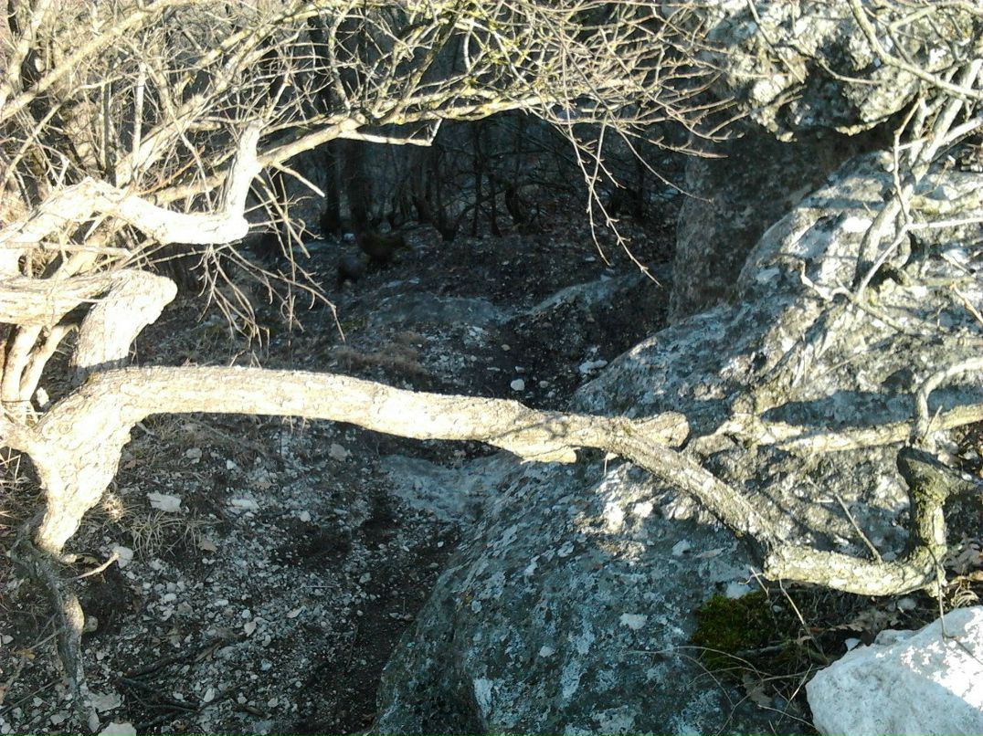 Павел Тулаков Витальевич | Кропоткино