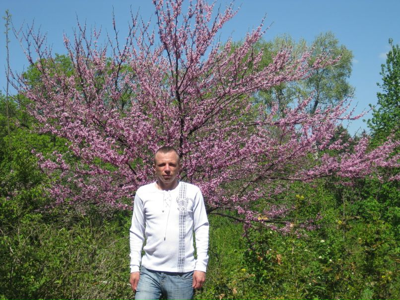 Андрей Плахотник | Киев