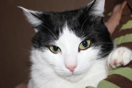 №123, Наталья Алференкова, Москва №123, Наталья Алференкова, Москва