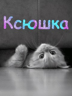 Ксенія Лецан Володимирівна | Тернополь