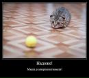 №32 Владимир Ковтун 23.08.1978: профиль, фото, статус - ВКонтакте
