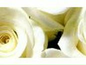 Галечка Тиханович-Кравченко | Гомель