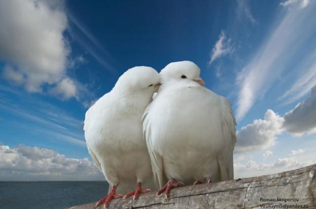 Людмила Годун | 