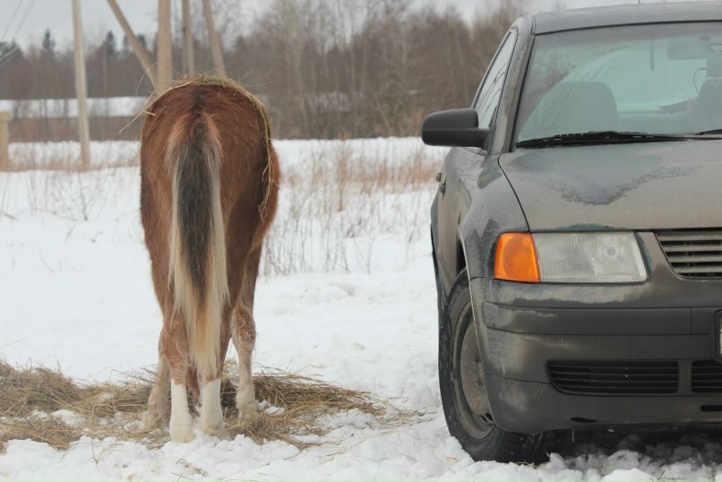 Владимир Лебедев | 