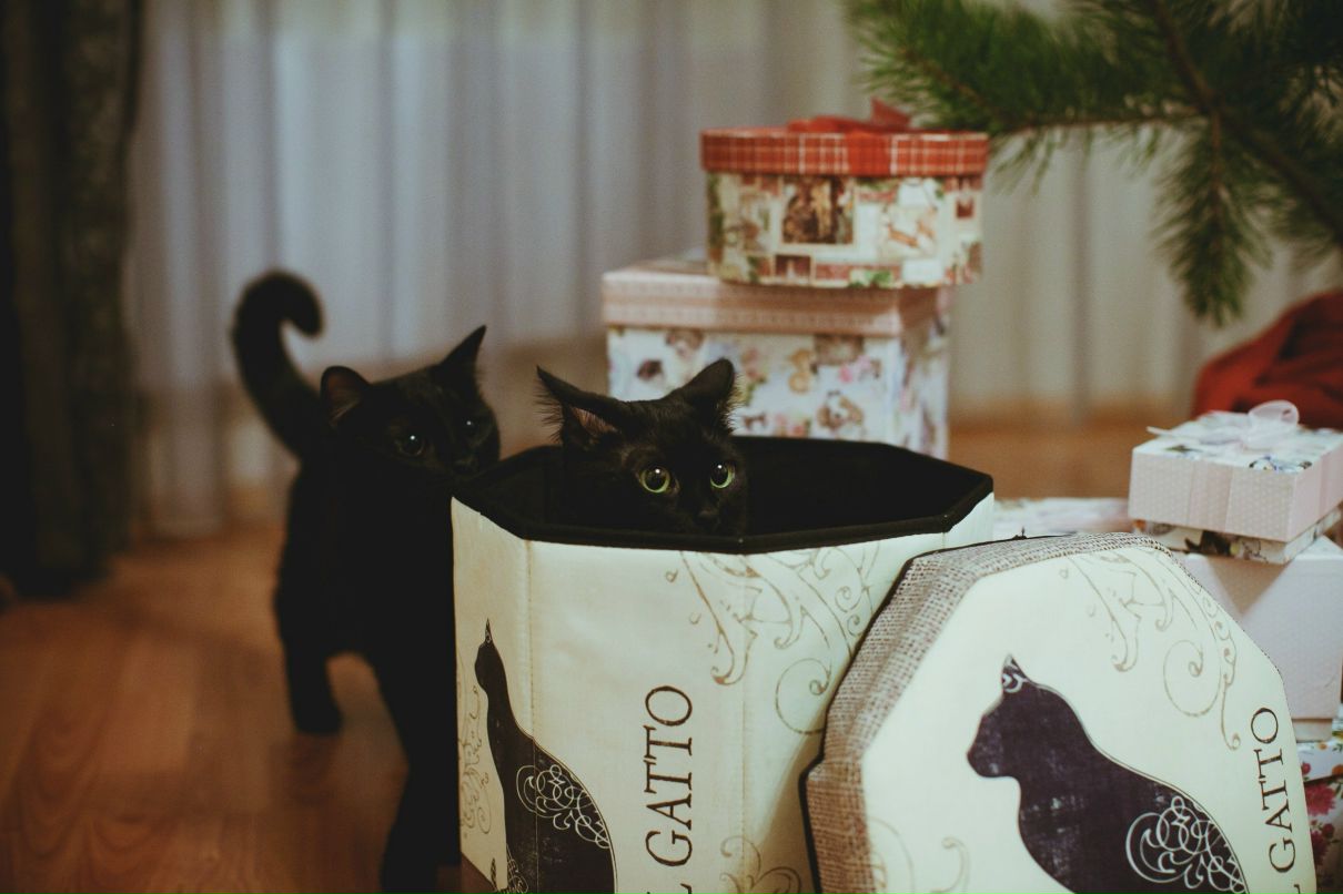 Дмитрий Иванов | Екатеринбург