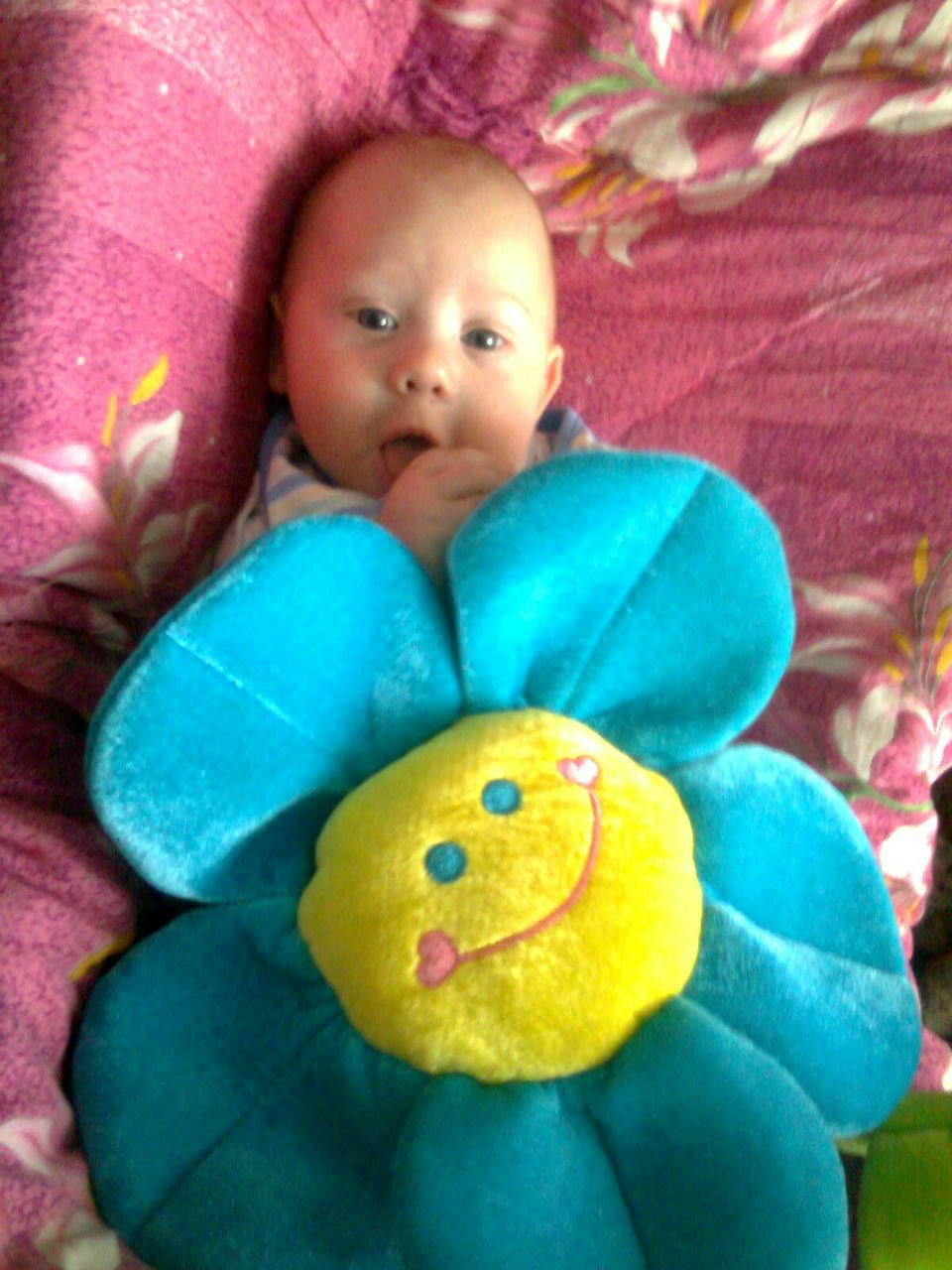 Сашка Смелова | Минск