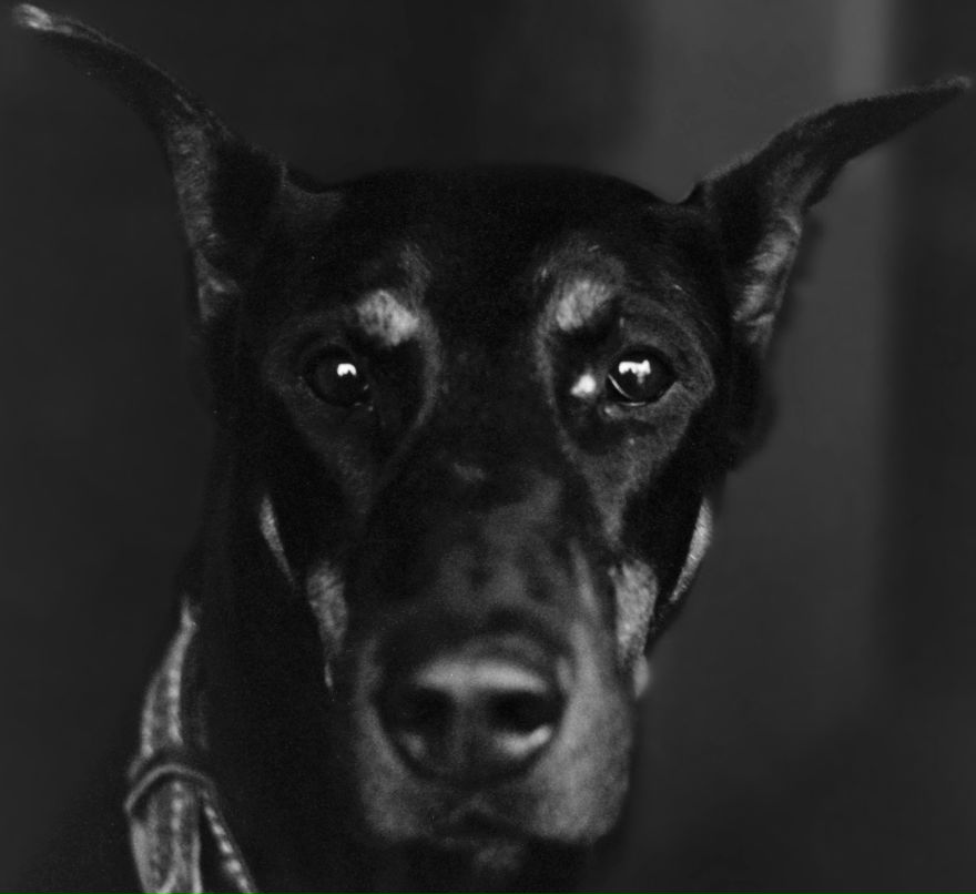 Андрей Андреев | Москва