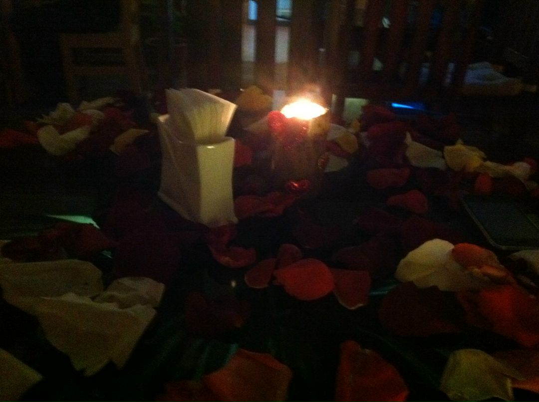 Ольга Ястреб | Черкассы