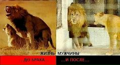 №13 Серега Санников 10.06.1989: профиль, фото, статус - ВКонтакте