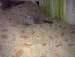 Кристина Медонова фотография #10