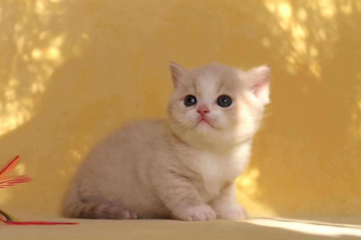 Наталья Панькина | Севастополь