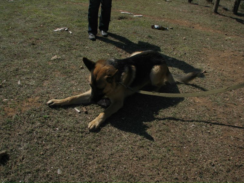 №35, Руслан Гордеев, Львов №35, Руслан Гордеев, Львов