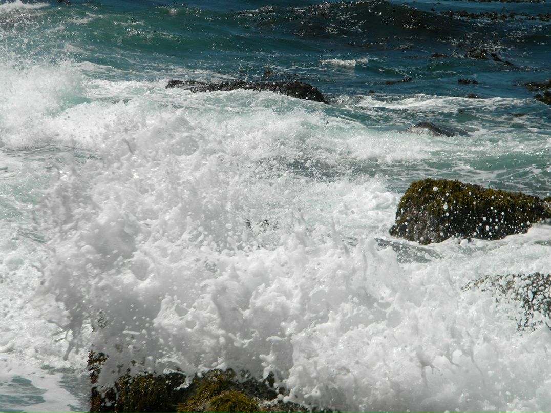 Сергей Ловиков | 