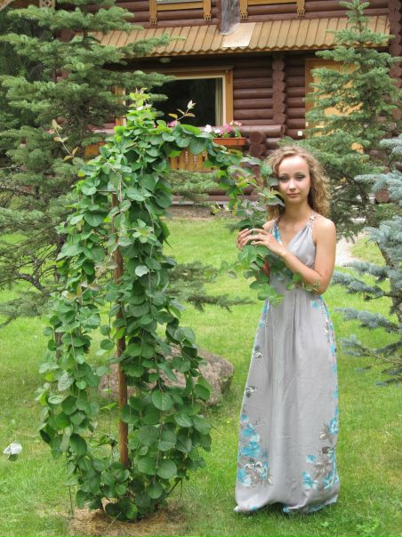 №29, Екатерина Гусарова, 37 лет, Тихвин №29, Екатерина Гусарова, 37 лет, Тихвин