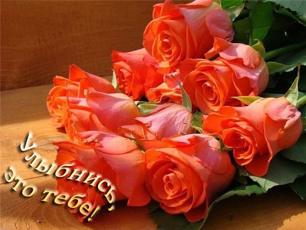 №168, Оля Пилипців, Львов №168, Оля Пилипців, Львов