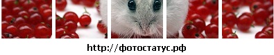 №27, Анастасия Сокирка, Мироновский №27, Анастасия Сокирка, Мироновский