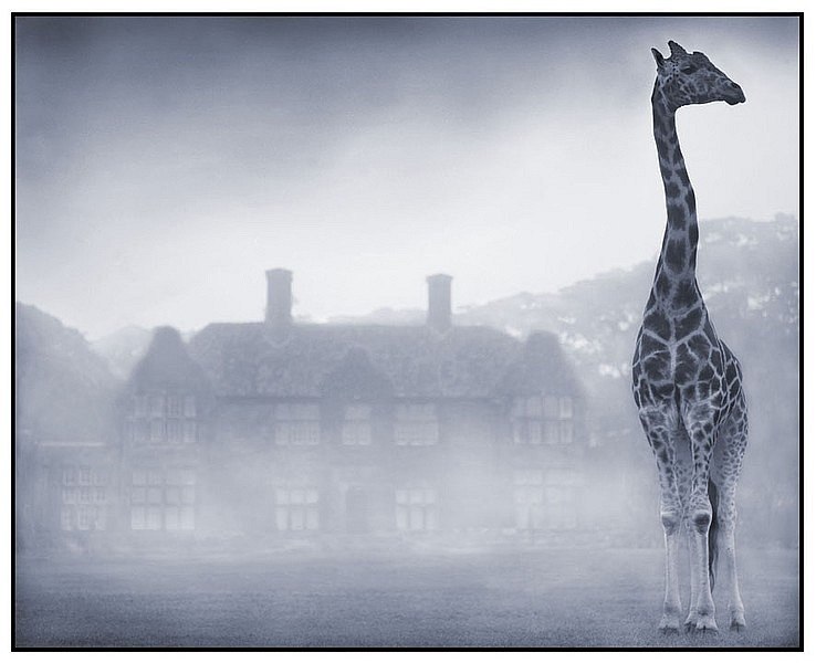 Евгения Моранькова | 