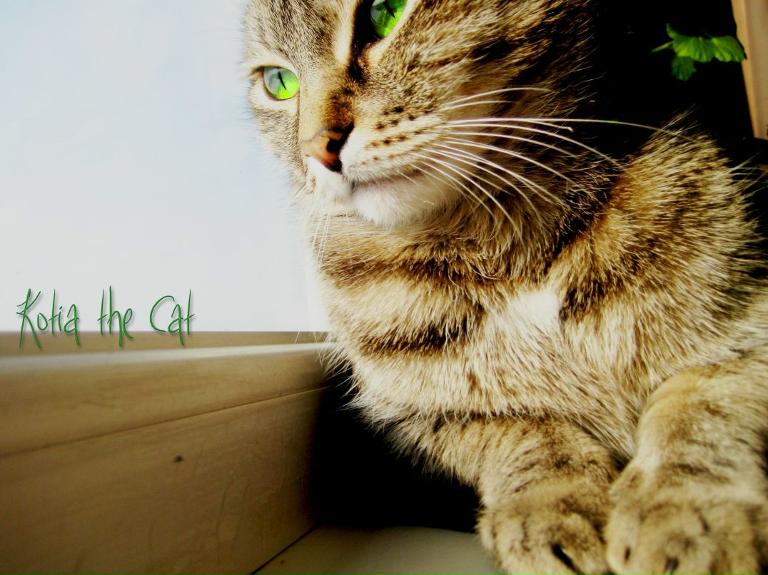 Даша Ильюшина | 