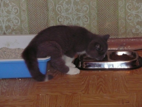 №5, Gosha Smagin, 36 лет, Рязань №5, Gosha Smagin, 36 лет, Рязань