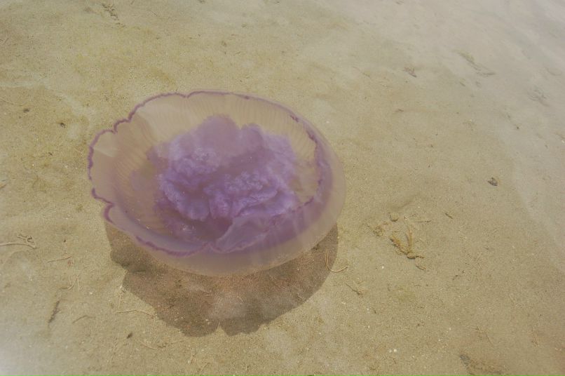 Татьяна Торсунова | Пермь