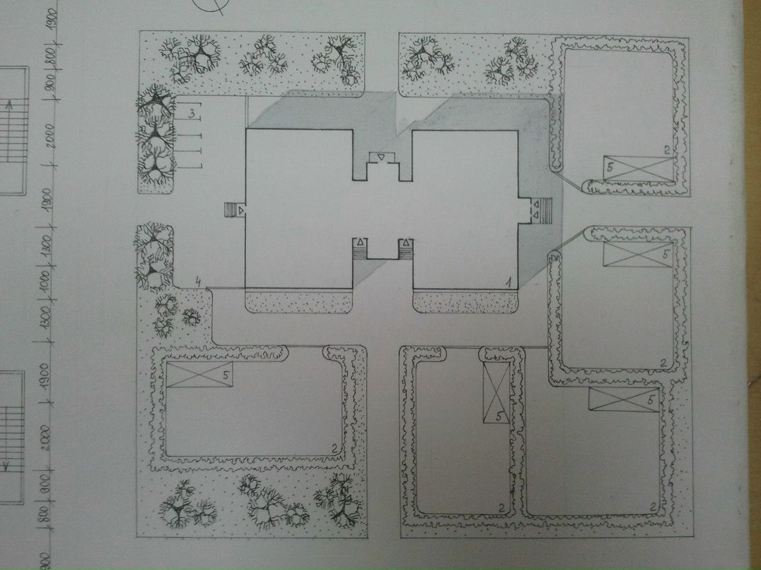 Александр Шутов | Санкт-Петербург